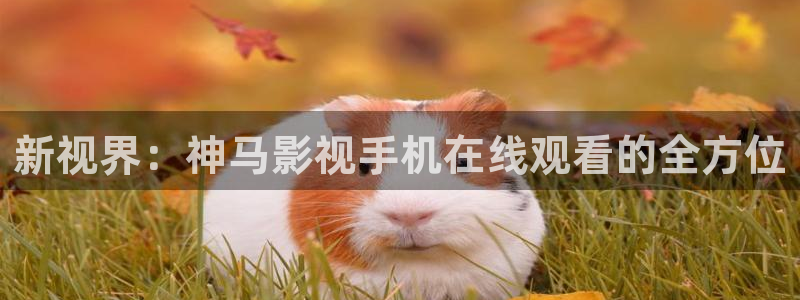 青柠直播免费观看：新视界：神马影视手机在线观看的全方位