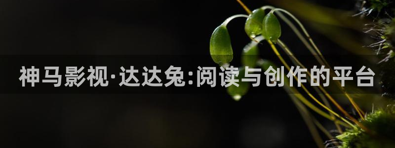 青柠影视在线播放：神马影视·达达兔:阅读与创作的平台