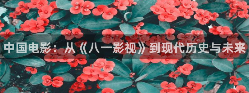 青柠影院电影在线