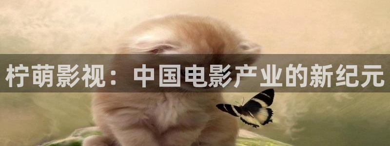 青柠高清影院免费观看电视剧